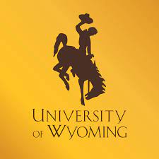 university of wyoming logo, which has a yellow background with an image of a person riding a bucking horse in brown