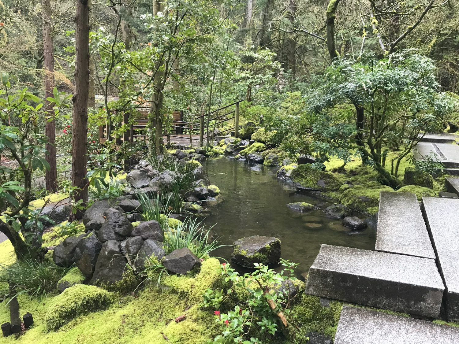 A small pond and lush greenery and stones
