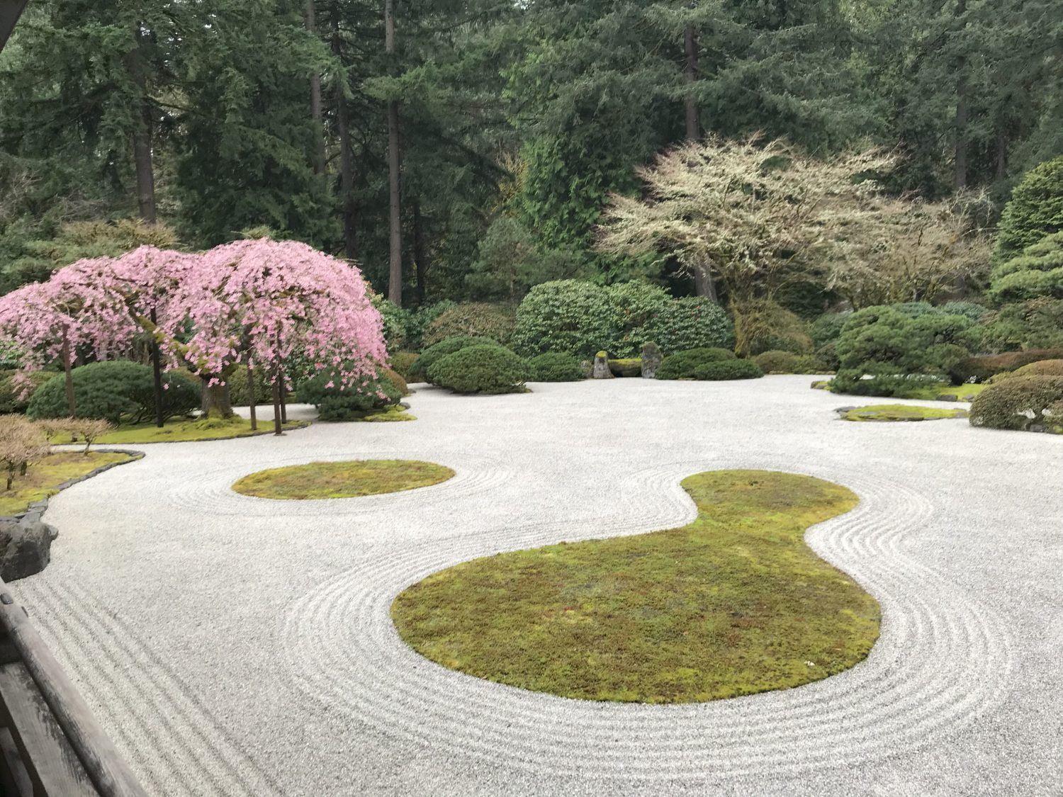 garden grounds at the japanese garden, which include sand designs with grass in the middle and pink trees